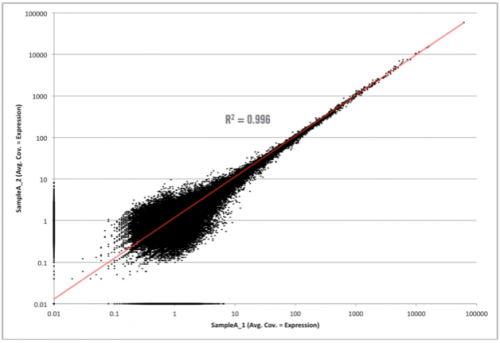 Unamplified RNA-seq Replicate Plot