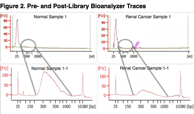 Bioanalyzer Traces