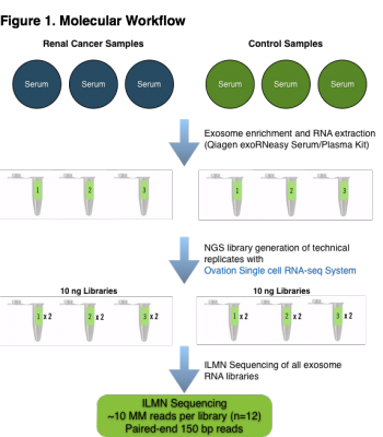 Molecular Workflow