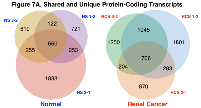 Shared mRNA Transcripts