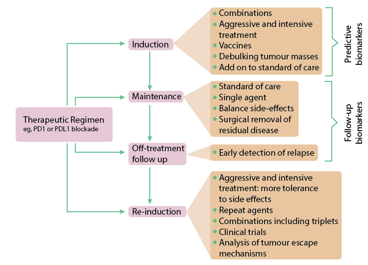 Biomarkers in immune profiling