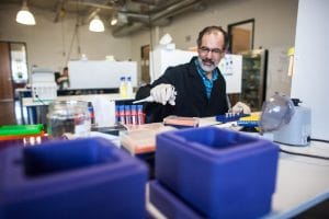 Scientist in lab working with gene expression