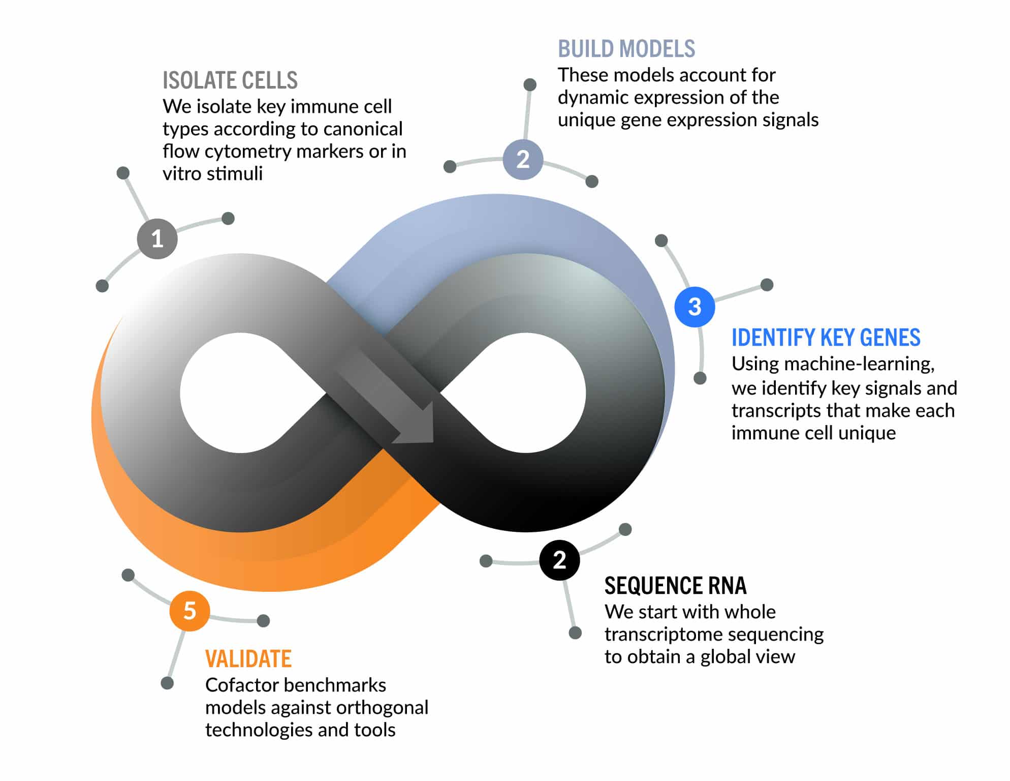 cofactor_investor-graphic-process cofactor_investor-graphic-process