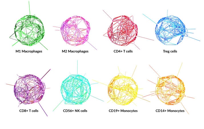 Measure Immune Response