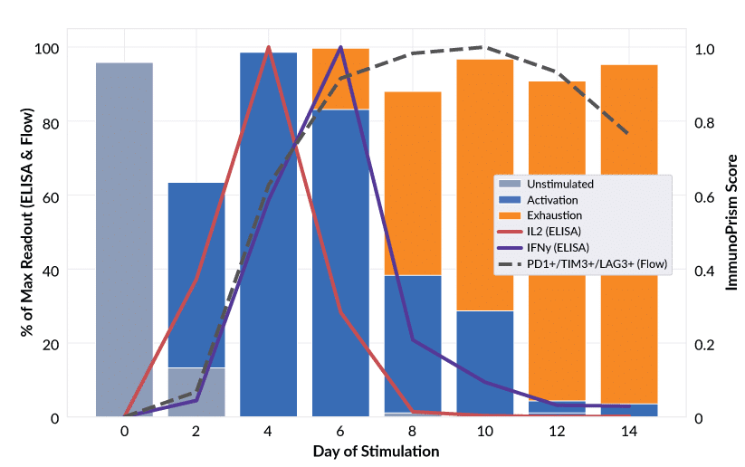 T cell States Exhaustion Model Performance