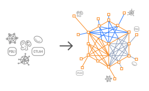 Predictive Immune Modeling